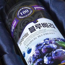 차전 프리미엄 블루베리 원액100 500ml 순수원액, 1개, 단품