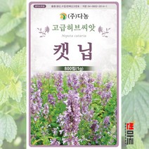캣닙 허브씨앗 1g 800립 / 고양이 개박하 다년생 고급 허브씨 씨앗 다농