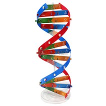 DNA 이중나선 모형만들기 1인용 포장, 1개