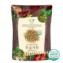 푸른들판 국내산 우슬 뿌리 분말 가루 100% 쇠무릎 쇠무릎지기 우슬차 해썹 인증, 100g, 1개