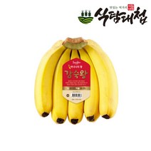 식탐대첩 스미후루 감숙왕 바나나 3송이 약3.9kg내외, 단품