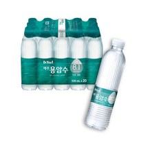 생수2L 생수530ml 천연미네랄워터 물 안전한 알카리수 먹는샘물 몸에좋은물, 20병, 530ml