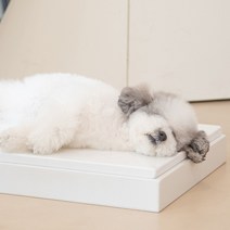 [대리석아빠] 냉매제 10시간지속! 강아지 고양이 애견 대리석 대용량 아이스팩 쿨매트, 대리석(중) 단품