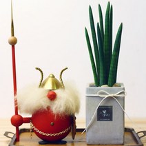 [바보사랑] 산세베리아 스투키 롱사각사각 화분, 상품선택:스투키롱사각사각화분, 상세 설명 참조