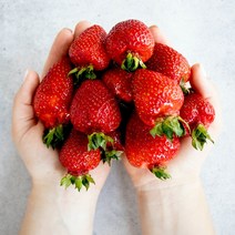 고령 최상급 프리미엄 설향 딸기 (당도보장) 800g 900g, 2팩(1.6kg 내외) (70구 내외)