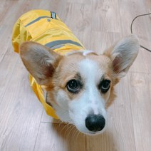 웰시코기 우비 강아지 우산 바람막이 중형견 레인코트