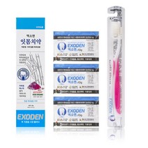 엑소덴 잇몸케어SET 잇몸출혈 천연 안전한 성분 치과 치주질환 입냄새제거제 치약추천