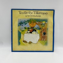 CAT STEVENS LP / 엘피 / 음반 / 레코드 / 레트로 / C991