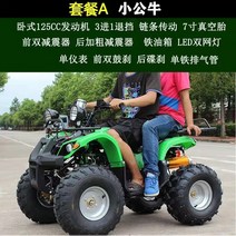 ATV 4륜 오프로드 산악 오토바이 사발이 전기 4륜 구동 지형 농사 가솔린, 리틀 불 패키지