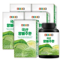 순수식품 국산 양배추환, 100g, 5개