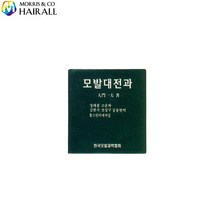 모리스 모발대전과 미용책 서적 헤어 이미용 미용서적 참고서 미용책 염색약 메니큐어 책 기술서 미용재료 학습지 칼라책 실용서 관공서