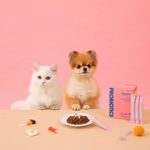 YPET / 닥터맘마 강아지 고양이 유산균 퍼피 앤 키튼, 유산균 퍼피 앤 키튼 1개월분 30포