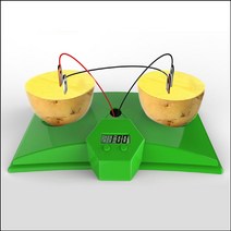 [RAΞ] 향앤미과학 과일 전지 시계 키트 만들기 만들기재료 만들기교구 만들기도구 학습 만들기준비물 ▷_8θ270eA, θ본상품w