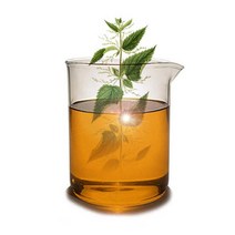 마타바 천연유래추출물 모음 (기타재료), 16-네틀_100ml