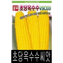 [워터트리몰] 채소 종자 재배 씨앗 초당옥수수 씨앗(100립) (A)