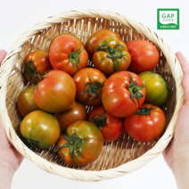 당도보장 대저 짭짤이 토마토 2.5kg, 로얄과 2.5kg 2S