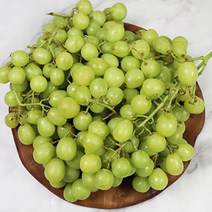 애플 청포도 씨없는 껍질째 먹는 맛난 포도, 1박스, 애플 청포도 1kg