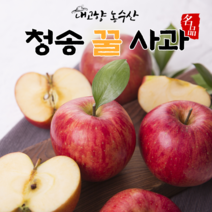 청송 사과 선물세트 설선물 명절선물 세트 꿀사과 부사 사과직거래 5kg 10kg, 고급 사과선물세트 5kg(12~13과)