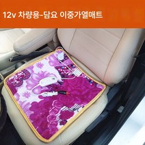 Ciliver 온열방석 차량용 시트 차량용 12V 탈부착 세탁 가능한 사무실 가정용 소형 전기장판 반려동물 전기방석, 1개, 차량용 12V 이중 두께 45X45
