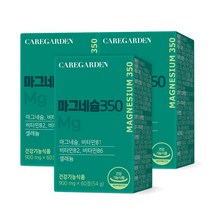 케어가든 마그네슘 350 3박스 6개월분 60정 3개