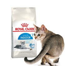 [도그씨] [연휴한정특가] 로얄캐닌 인도어 시니어 (7세이상) 3.5kg, 상세 설명 참조
