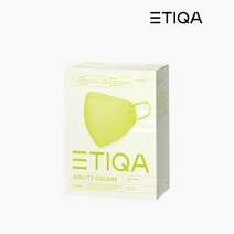 에티카 에어라이트 스퀘어 1회용 마스크 대형, 10개입, 3개, 샤임라임