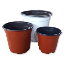 담쟁이가든 이색포트 플라스틱 포트 8~15cm 포트