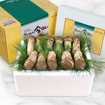 강원의 자연이 빚은 천년의 향 22년 10월수확 송이(냉동) 버섯, 자연송이 특상품1, 1000g
