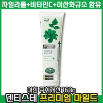 [ 구취제거 NO.1 ] 덴티스테 마일드 치약 튜브 허브 상쾌 페퍼민트 자일리톨 화이트 충치 안티프라그 입냄새 민트 개운 구강 텁텁 치과 수면 아침 미백 덴테스테 덴티스텐, 1개, 160g