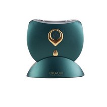 괄사 갈바닉 리프팅 림프순환 IPL LDM 하이푸 테라노바 미세전류 고주파마사지기, 에메랄드 그린