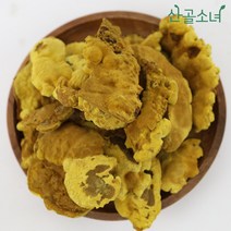 산골소녀 국내산 상황버섯, 300g, 1개