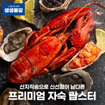 고씨네 자숙랍스타 550g 랍스터 자숙랍스터 킹크랩 랍스타 활랍스터 랍스타꼬리 냉동랍스터 랍스터찌는법 크레이피쉬 랍스타가격 [WB15FE4], 1개
