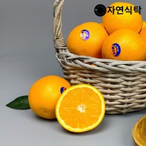 자연식탁 고당도 네이블 오렌지 15과 중과 / 2set 구매시 34과 발송, 단일옵션