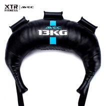 불가리안백 모래주머니 5kg 12kg 스쿼트 20kg 코어운동 크로스핏 수플레스 중량, 13KG