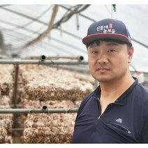 생 표고버섯 배지 표고버섯 국산 무농약 상급 300g 1kg, 배지 생표고버섯 1kg, 1개