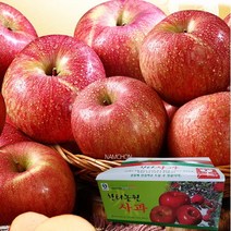 [충주사과] [한터] 4.5kg (15-17과), 상세 설명 참조, 상세 설명 참조