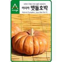 호박씨앗종자 아시아 맷돌호박 25립 asa