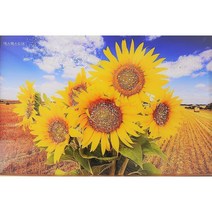 풍수 인테리어 큐빅 해바라기 고광택 필름 액자 재물 돈 들어오는 취업 승진 합격 운