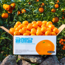 제주 하우스 감귤 12브릭스 고당도 선별, 로얄과(S-M) 10kg