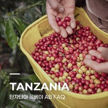 [생두] 탄자니아 음베야 AB FAQ 10kg