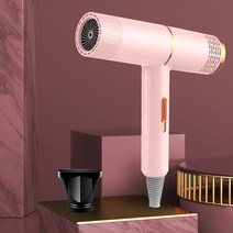휴대용드라이기 전문가용 적외선 음이온 블로우 헤어 드라이어 뜨거운 차가운 바람 살롱 스타일러 도구 전, 01 Pink_03 AU