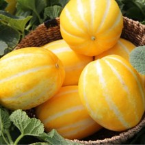 성주 참외 꿀 고당도 제철 가정용, g)성주참외 2kg (혼합)