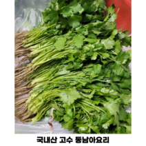 국산 고수 1단 300g내외 싱싱한 신선한 고수풀 동남아요리 쌀국수 고수김치 베트남식재료 향신료 나물, 1단 (300g내외)