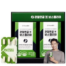 프롬바이오 관절연골엔 보스웰리아 + 홍삼스틱 5포, 60정, 1박스