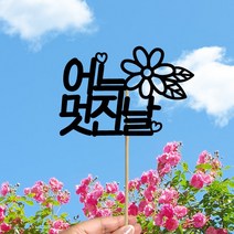 빅토리아데코 새해토퍼 크리스마스 신혼 가족 여행토퍼 피켓 투명 부채토퍼 케이크토퍼 메세지픽 제작, 1개, 여행토퍼_A-305-1-어느멋진날