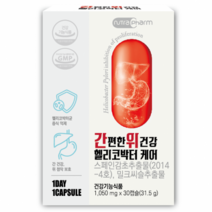 뉴트라팜 간편한 위건강 헬리코박터 케어 31.5g, 30정, 31.5ml, 2개