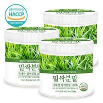 푸른들판 국산 어린 잎 밀싹 밀새싹 밀순 분말 가루 100% 파우더 해썹 인증 추천, 100g, 3통