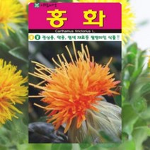 홍화 씨앗 100립/ 꽃씨 종자 주말농장 텃밭 홈가드닝 약용작물