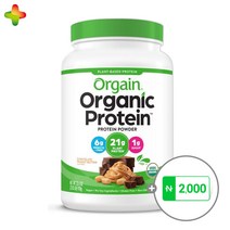 GC녹십자 올게인 식물성단백질 초콜릿 피넛버터맛 920g 20회분 오가닉 플랜트베이스 프로틴 파우더 드링크 유기농 헬스 보충제, 피넛버터맛 (920g)