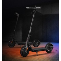 Ninebot 나인봇 F20 F30 전동 전기 킥보드 접이식 스쿠터, F (제품 상세내역 썸네일 참조), 36V